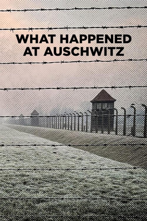 What Happened at Auschwitz - poster