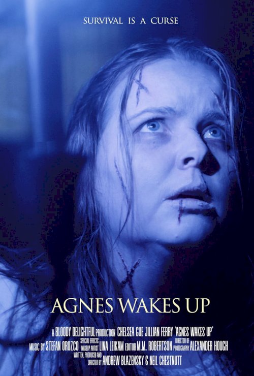 Agnes Wakes Up - постер