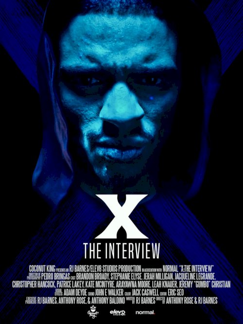 X: The Interview - posters