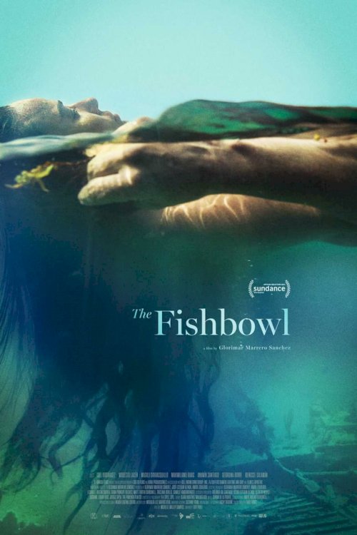 The Fishbowl - poster