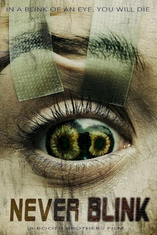 Never Blink - posters