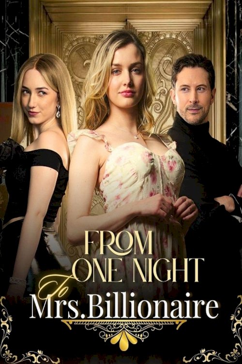 From One Night to Mrs. Billionaire - poster