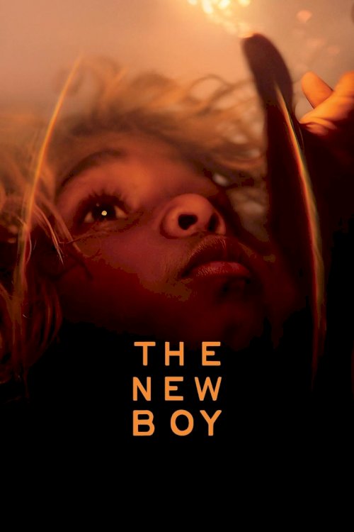 The New Boy - posters
