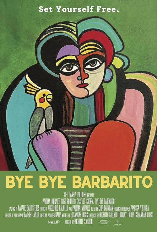 Bye Bye Barbarito - poster