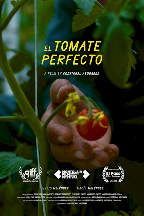 The Perfect Tomato - poster