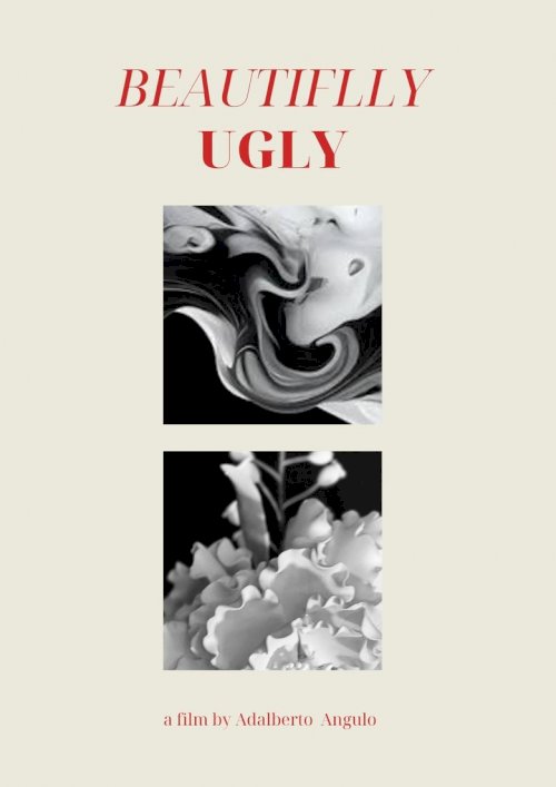 Beautifully Ugly - poster
