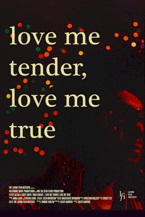 Love Me Tender, Love Me True - poster