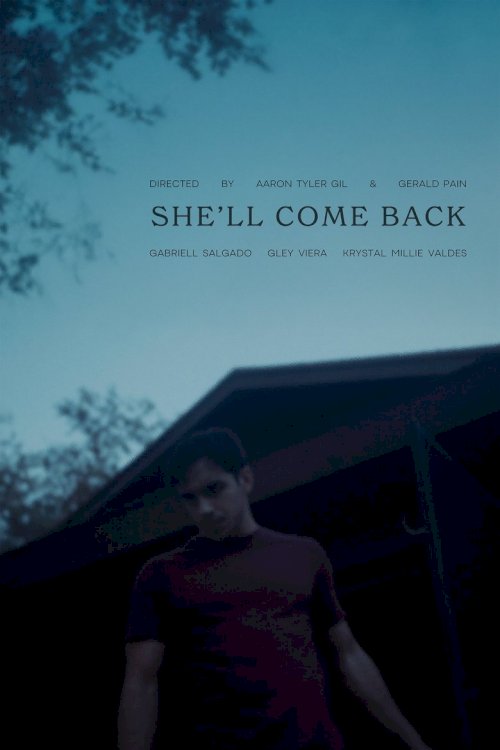 She'll Come Back - posters