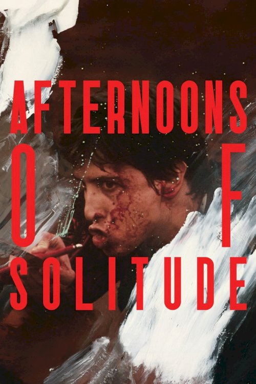 Afternoons of Solitude - poster