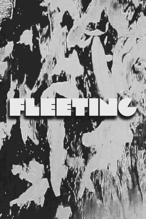 FLEETING - poster