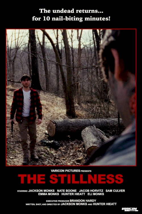 The Stillness - poster