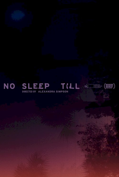No Sleep Till - poster