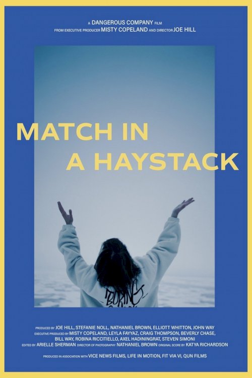 Match In A Haystack - poster