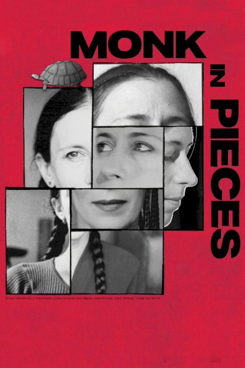 Monk in Pieces - poster