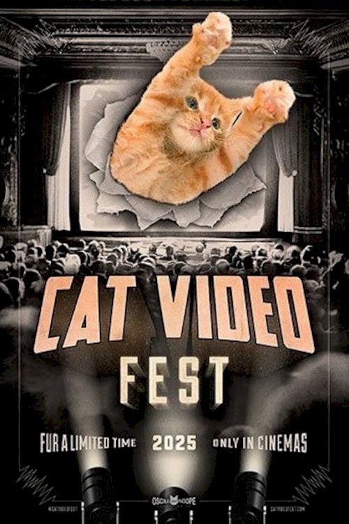 CatVideoFest 2025 - poster