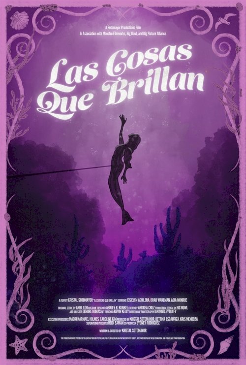 Las Cosas Que Brillan - poster