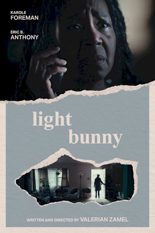 Light Bunny - poster
