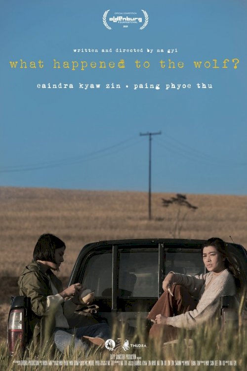 What Happened to the Wolf? - poster