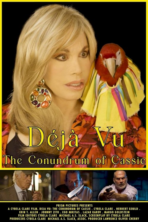 Déjà Vu: The Conundrum of Cassie - poster