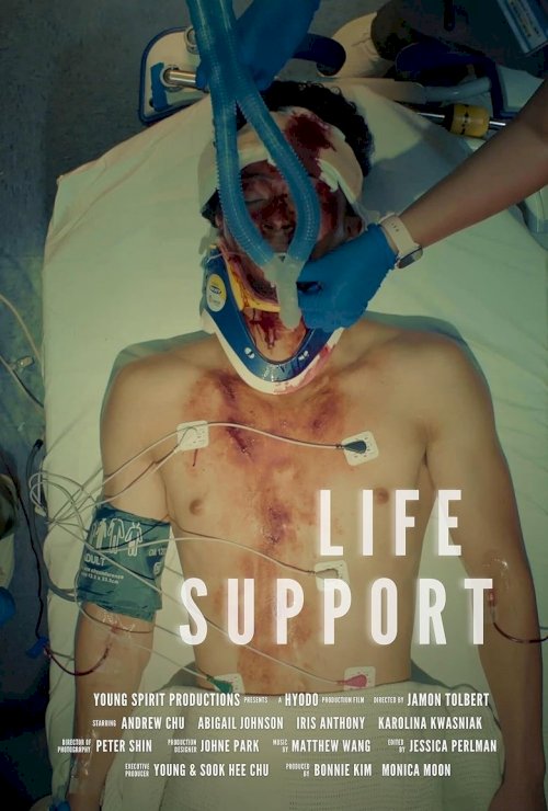 Life Support - posters
