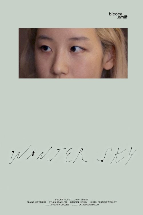 Winter Sky - posters