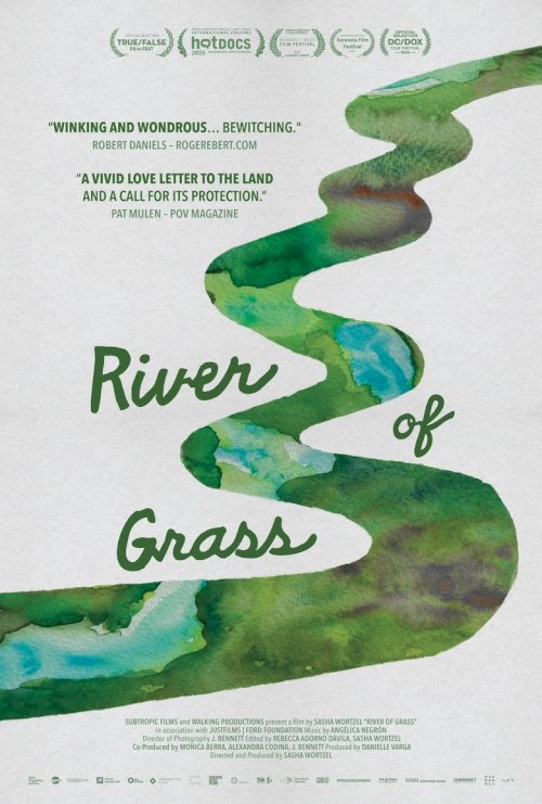 River of Grass - poster