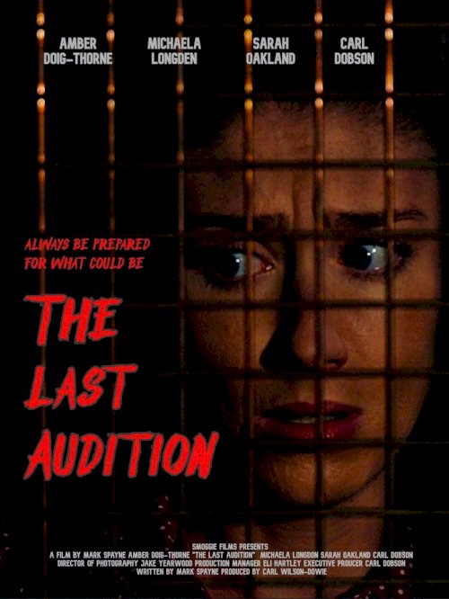 The Last Audition - постер