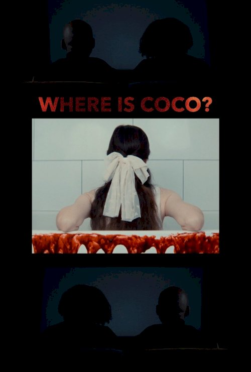 Where is Coco? - poster