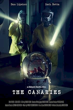 The Canaries - posters