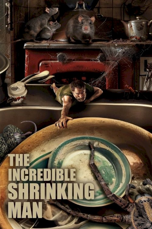 The Incredible Shrinking Man - poster