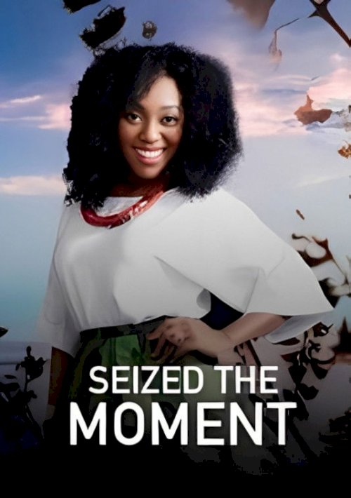 Seized the moment - poster